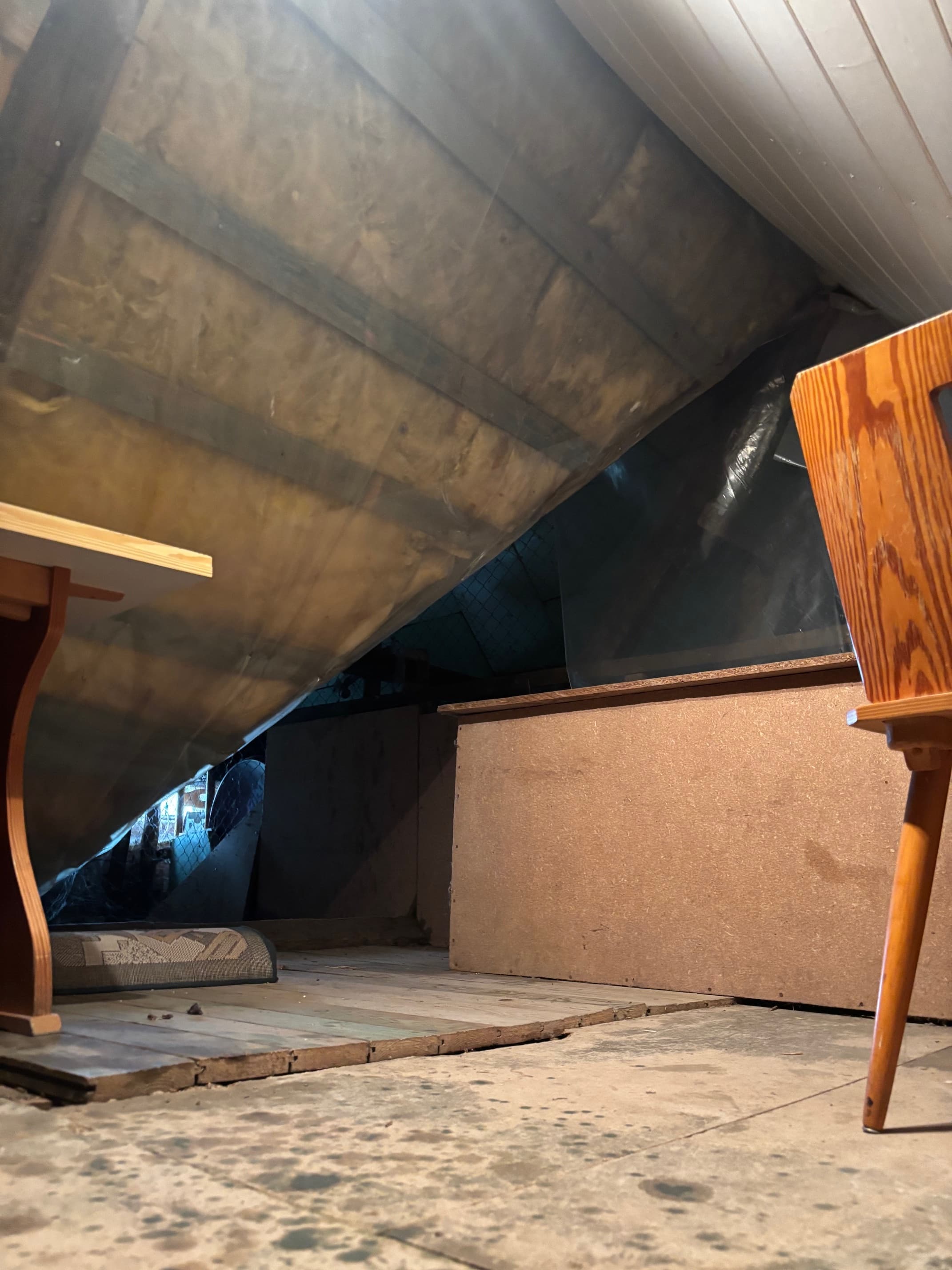 Immobilienbild Dachboden gedammt (1).jpg