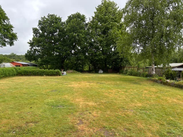 Immobilienbild 03e53a93-e92f-40da-a4af-d1d49e9e60e1.jpg