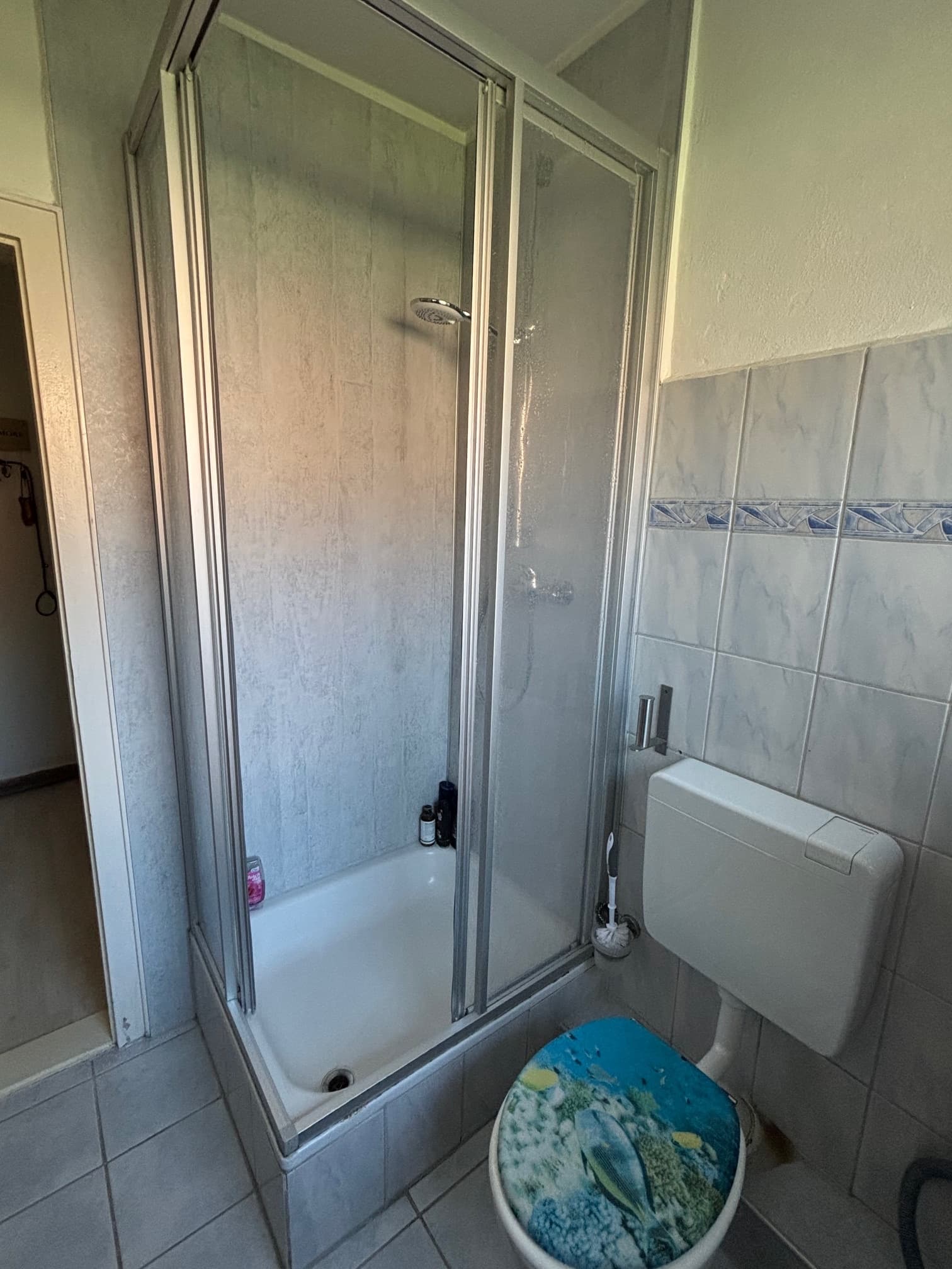 Immobilienbild Bad WC Dusche (2).jpg